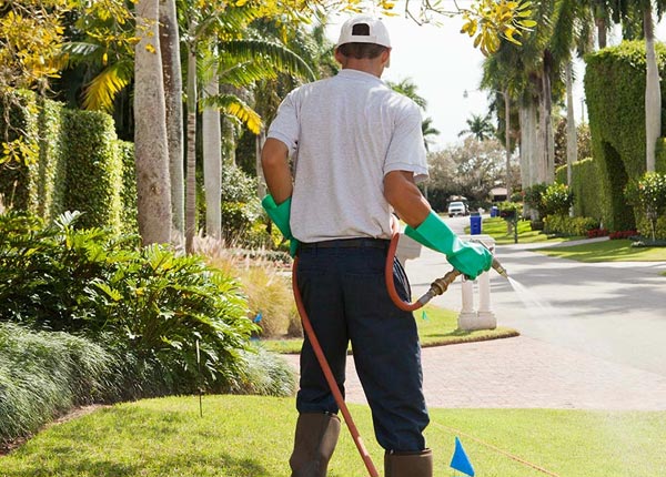 About Dibble OK Pest Control